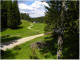 Gozdarska koča Rovtarica - Lipniška planina